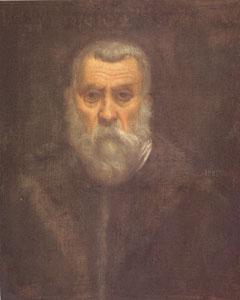 TINTORETTO, Jacopo Self Portrait (mk05) oil painting picture
